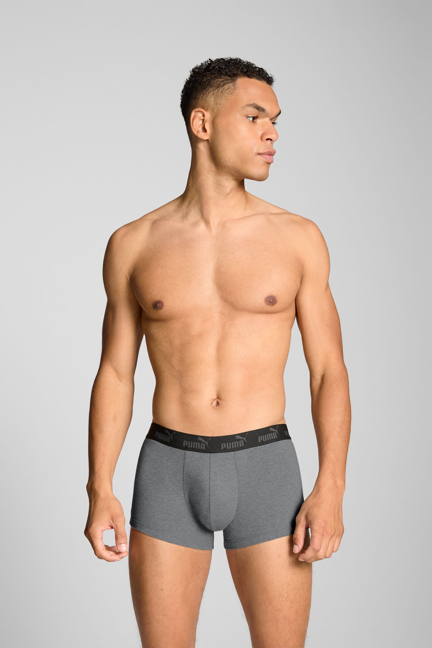2er Pack Puma Herren Boxershorts Trunk Elements Grau Schwarz
