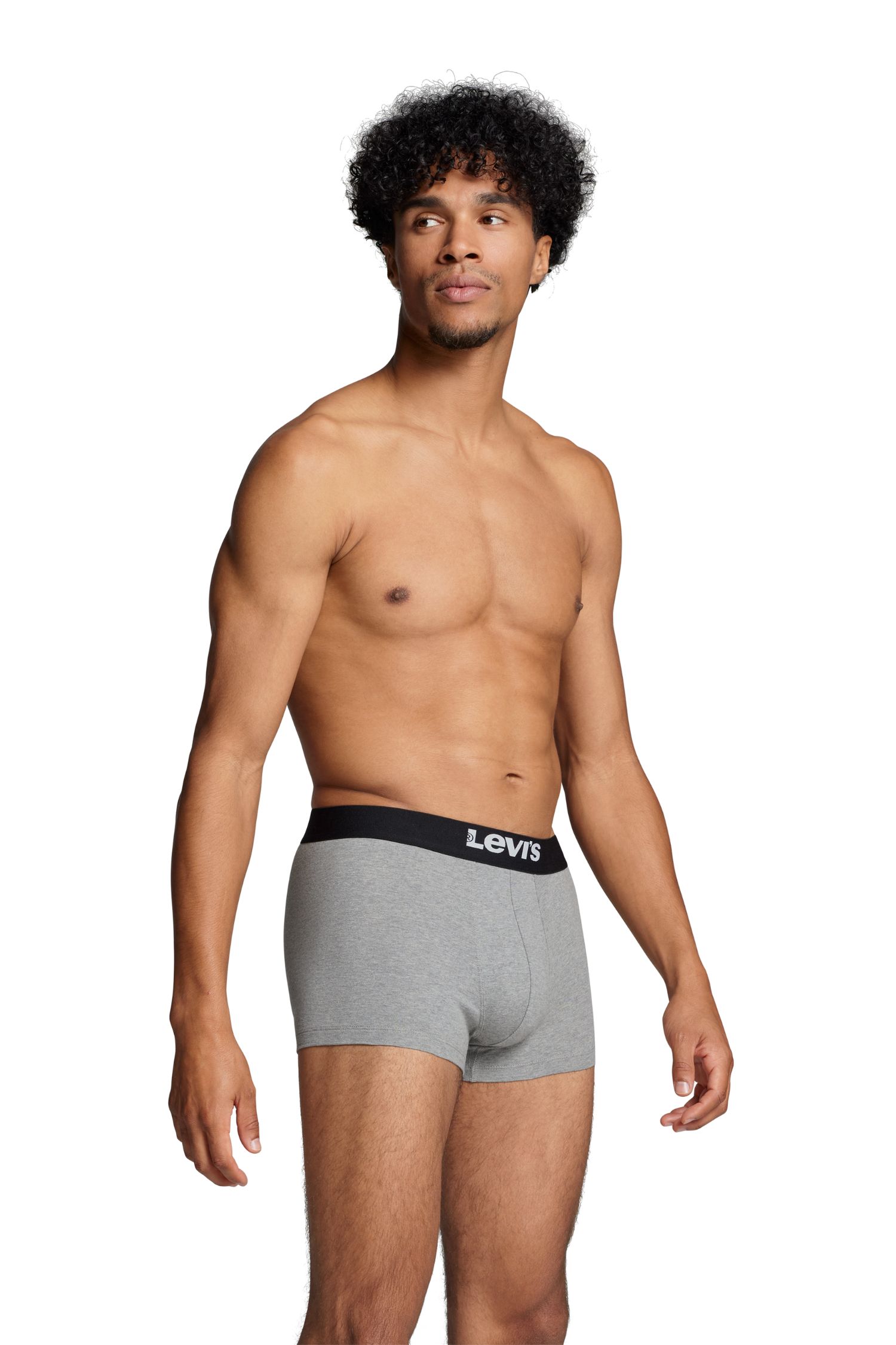 2er Pack Levi's Herren Trunks Boxershorts Grau